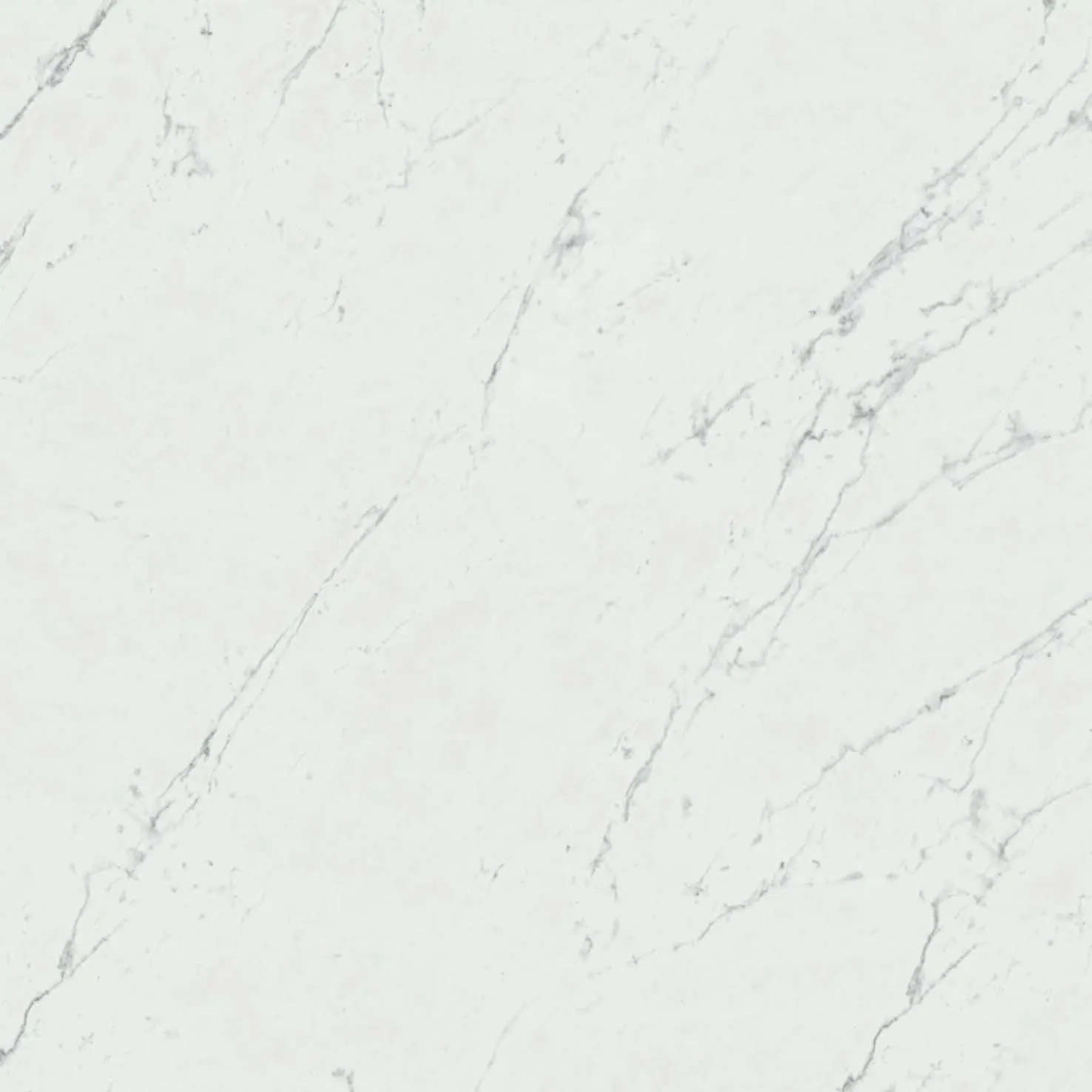 Marvel Carrara Pure 60×60