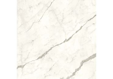 Marvel Statuario Supremo Matt 120×120