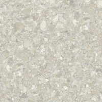 Momentum Beige Natural 59,55X59,55