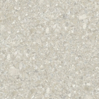Momentum Beige Natural 99,55X99,55