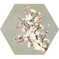 Mood Green Decor Hexagon 25x29