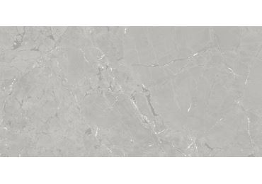 Neeko Grey 60X120