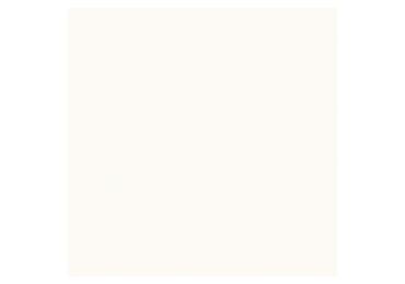 Neve Creative Bianco Gres Szkl Mat 20X20