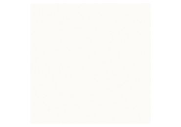Neve Creative Bianco Sciana Polysk 10X10