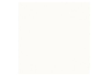 Neve Creative Bianco Sciana Polysk 20X20