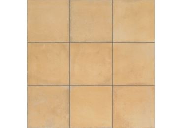 Nostalgy Honey 20X20