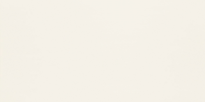Obklad  Duo White Mat Rektifikovaný 29,8X59,8