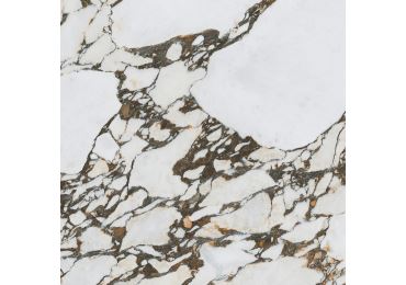 Odilon-R Polished 119,3X119,3