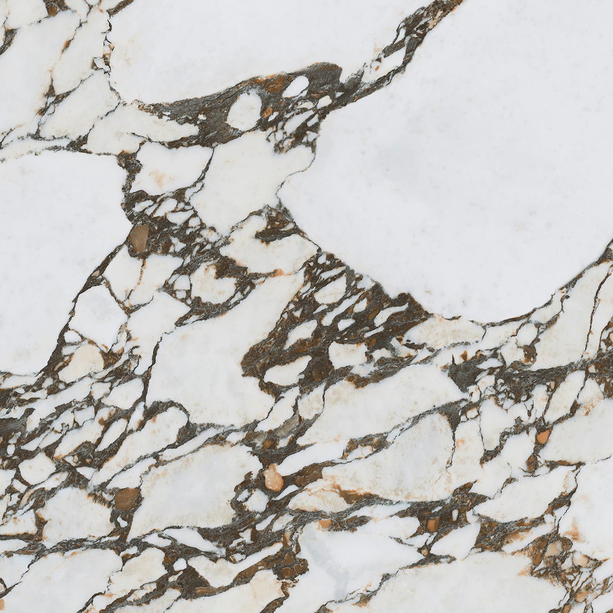 Odilon-R Polished 119,3X119,3