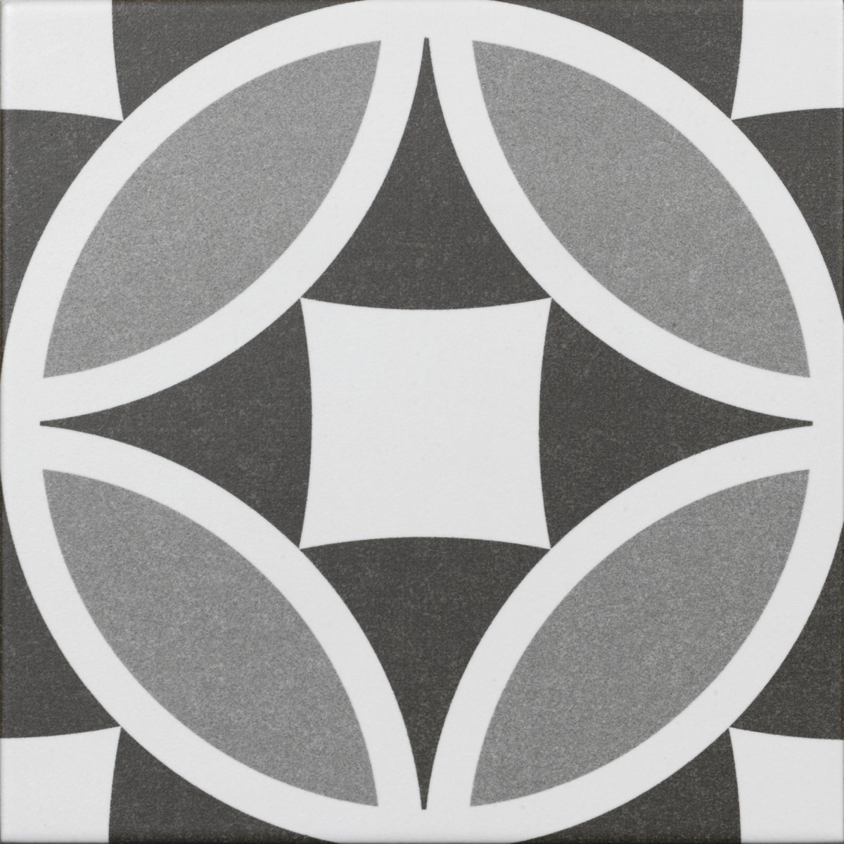 Olympia Grey 20X20