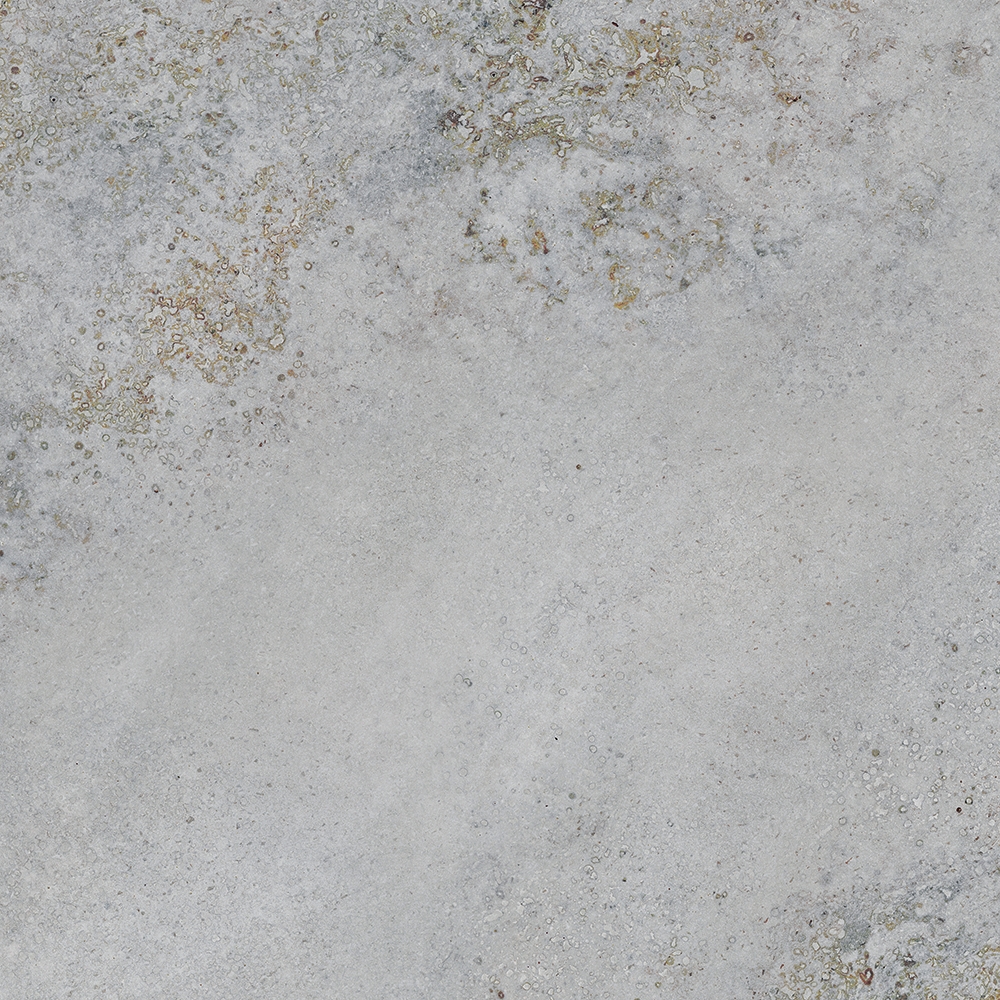 Omega Grey 100x100