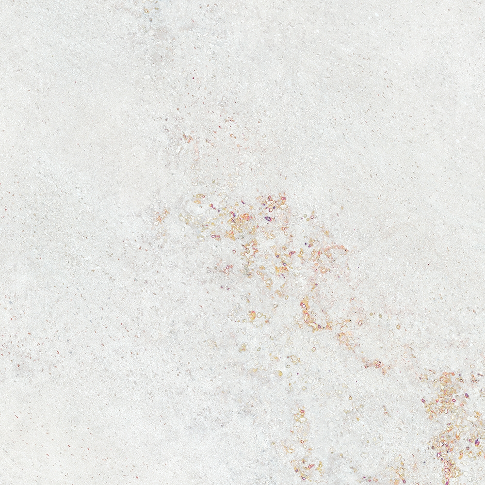 Omega White 100x100