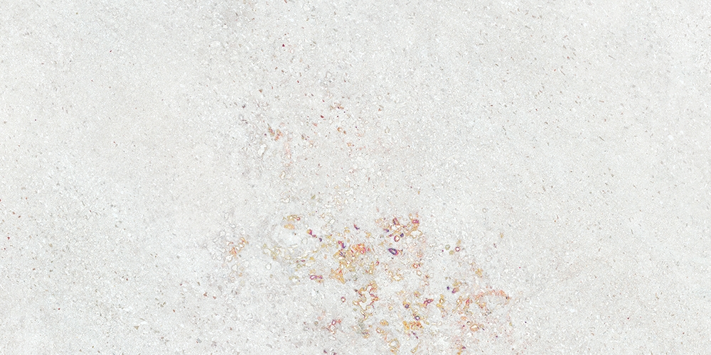 Omega White 60x120