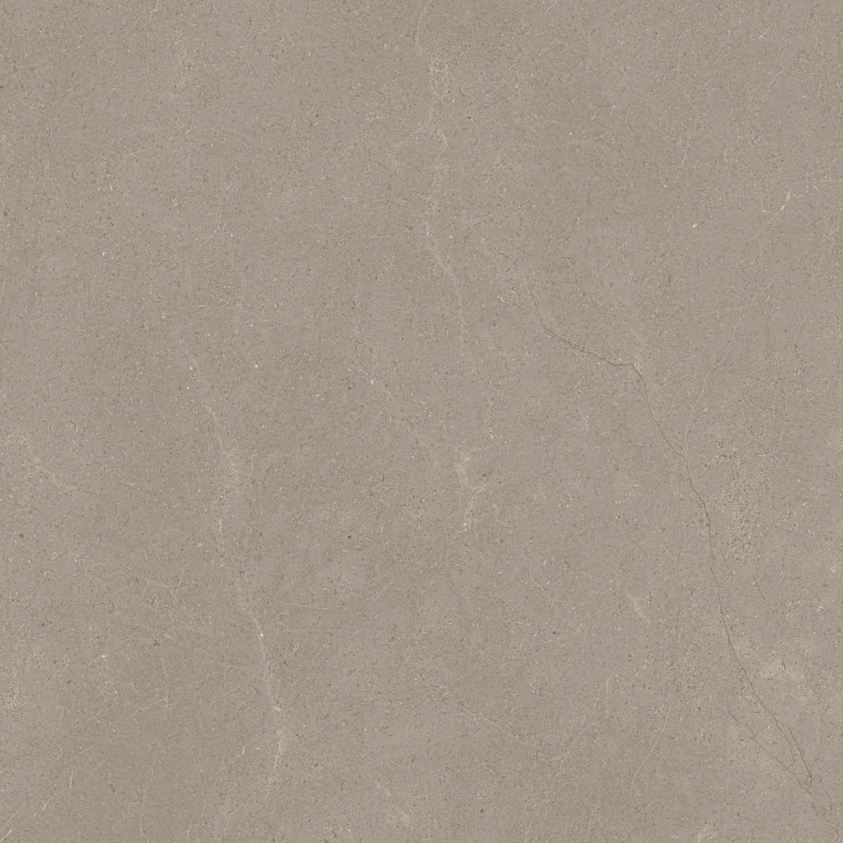 Palco Brown 60X60