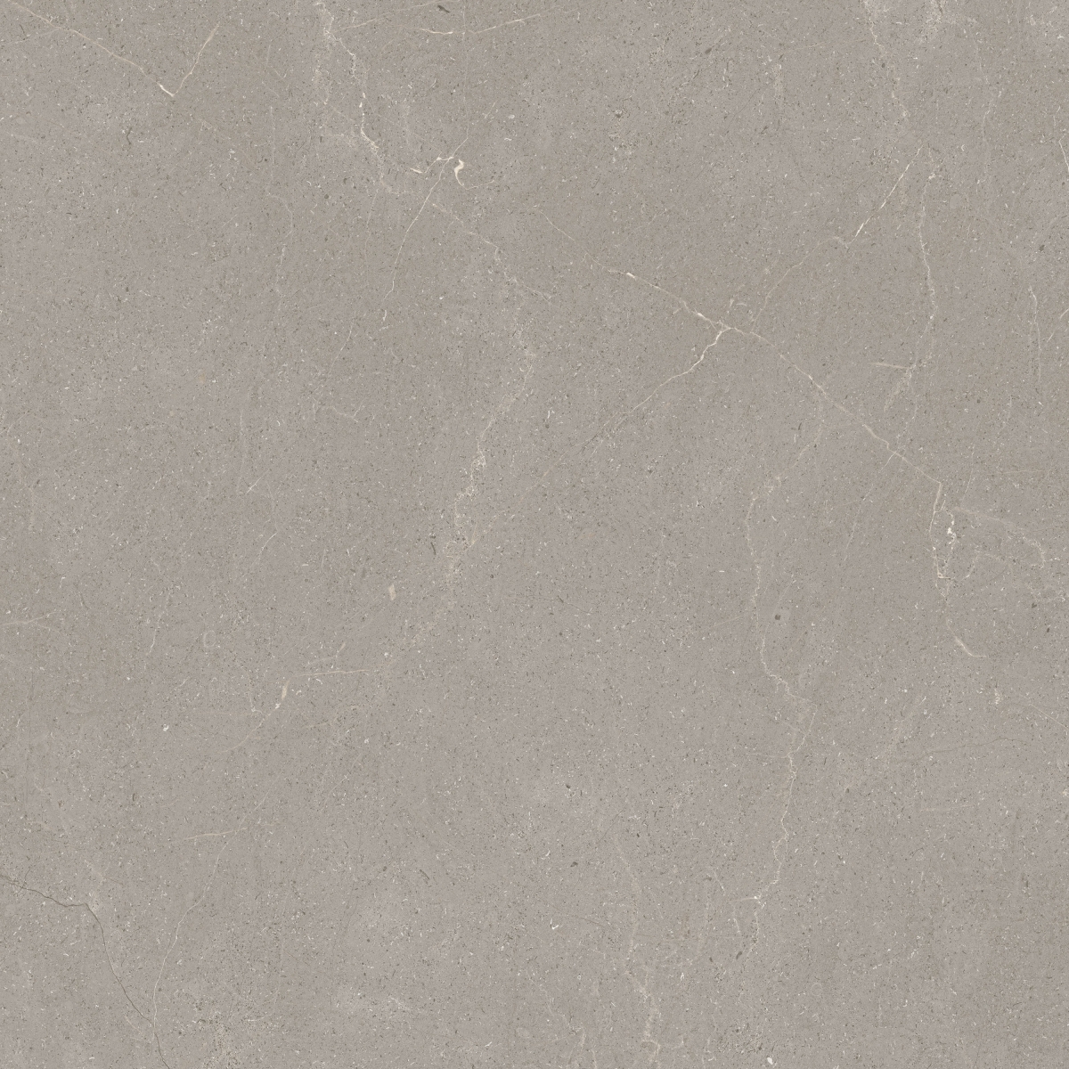 Palco Dark 60X60