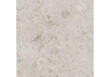 Petra Taupe 60X60