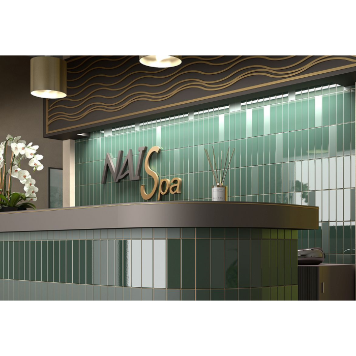 Praia Aloe Matt 5X20