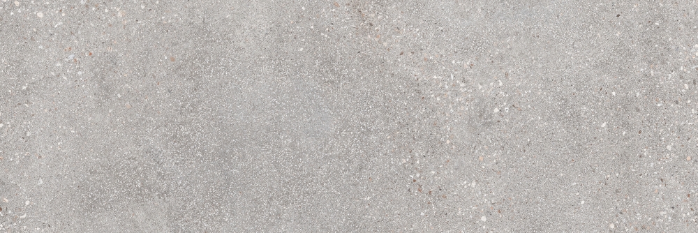 Promenade Cendre 40X120