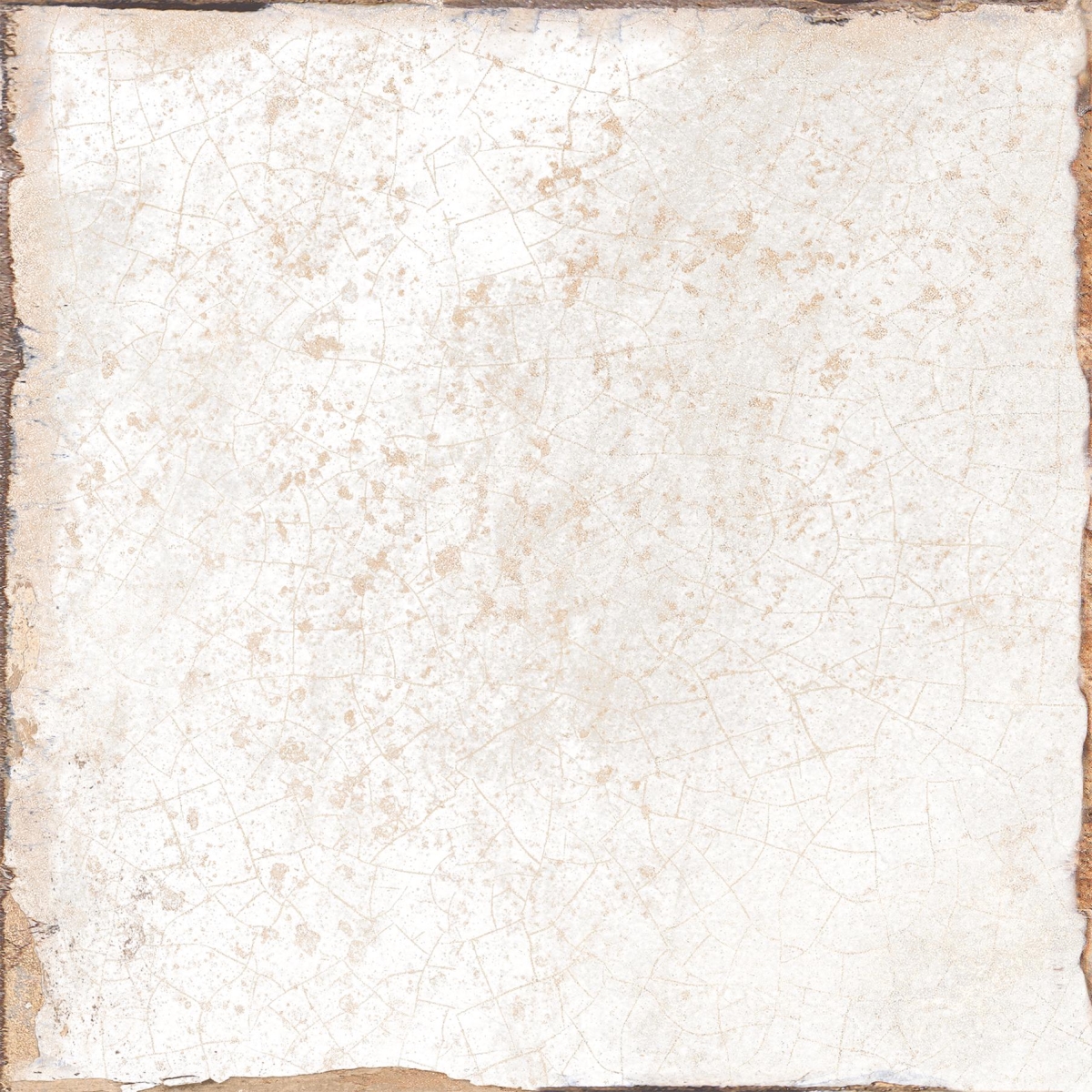 Racine Blanc 15X15