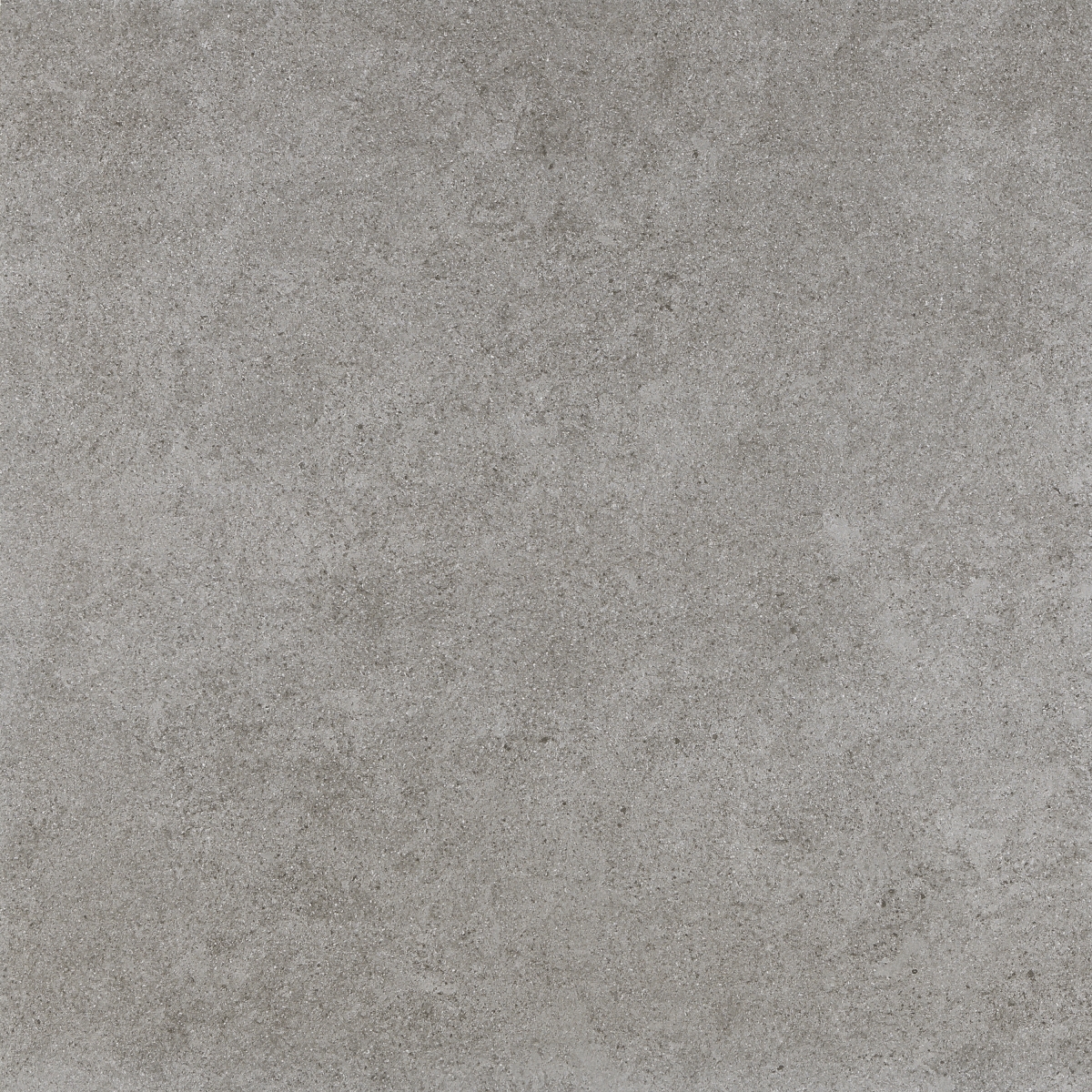 Rex Grey 60X60