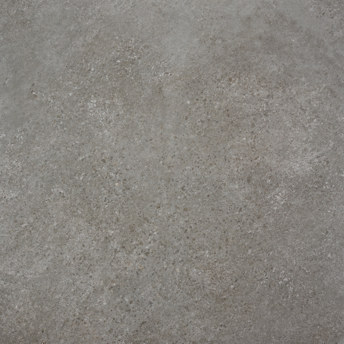 Rodas Gris  100X100