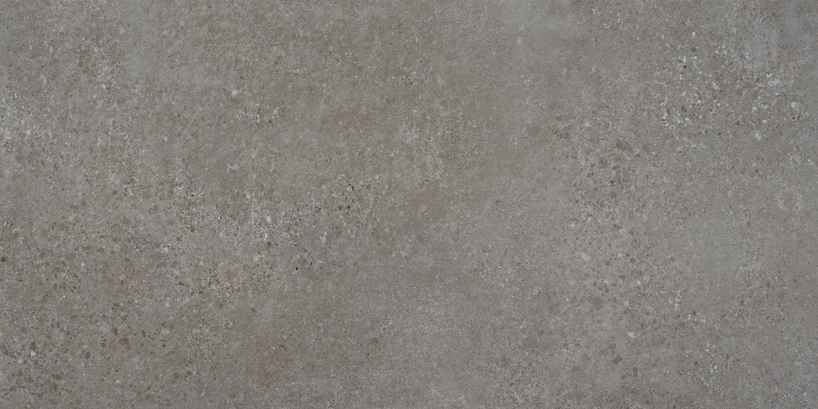 Rodas Gris  60X120