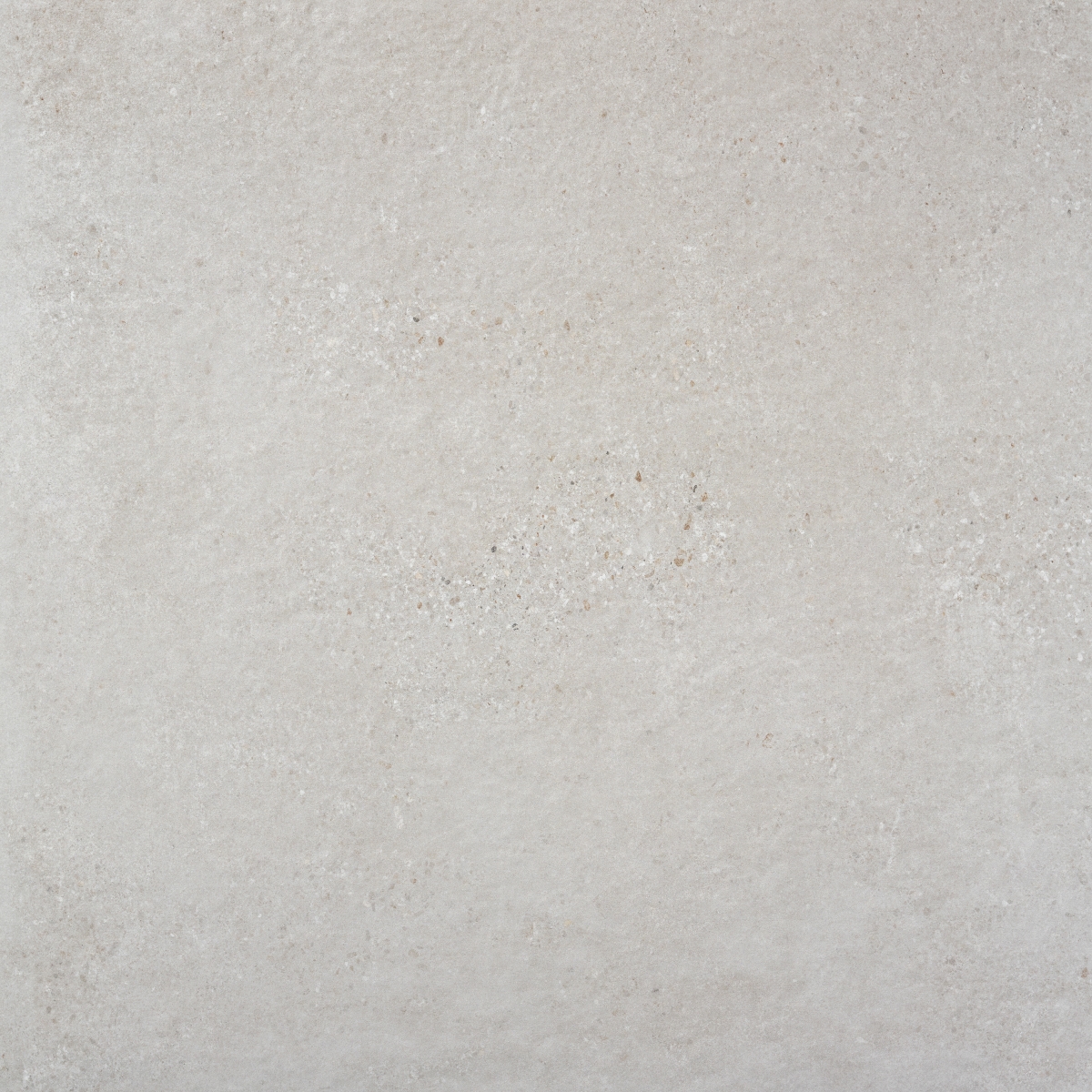 Rodas Gris Claro  100X100