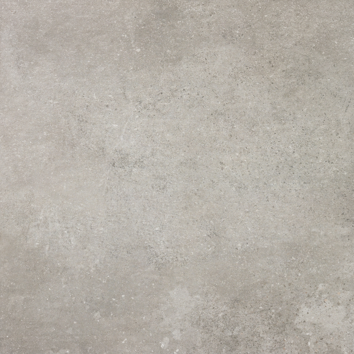 Rohe Grey  60X60
