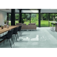 Rohe Silver  60X60