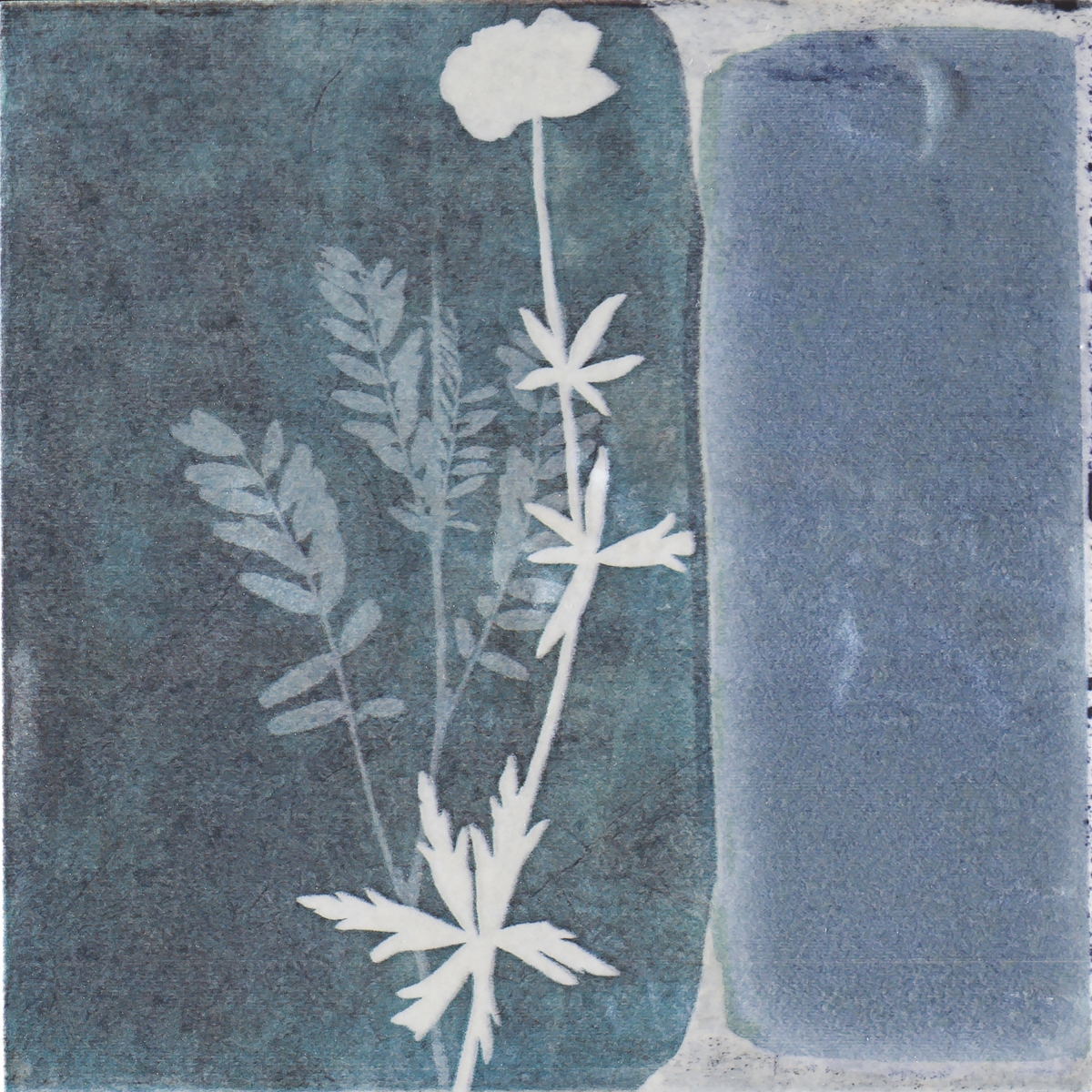 Sabine Lake Blue 15X15
