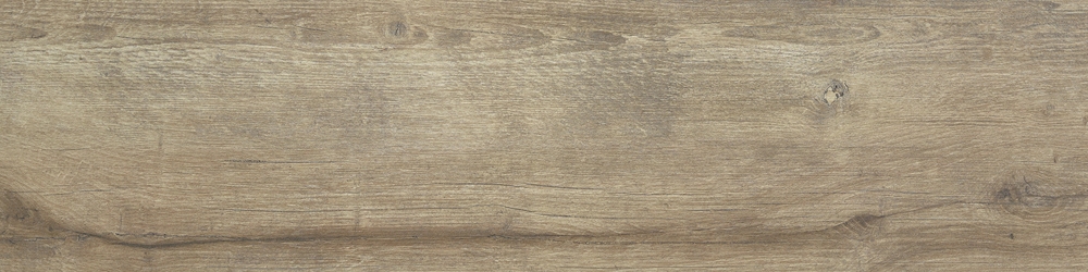Shireen Taupe 25x100