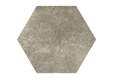 Siena Beige Matt Hexagon 23x27