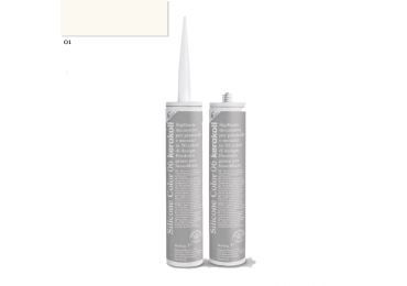 Silicone Color - 01 - 310 Ml