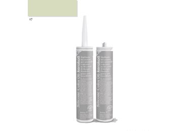 Silicone Color - 17 - 310 Ml