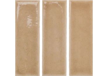 Skin Biscuit Gloss 4X12.5