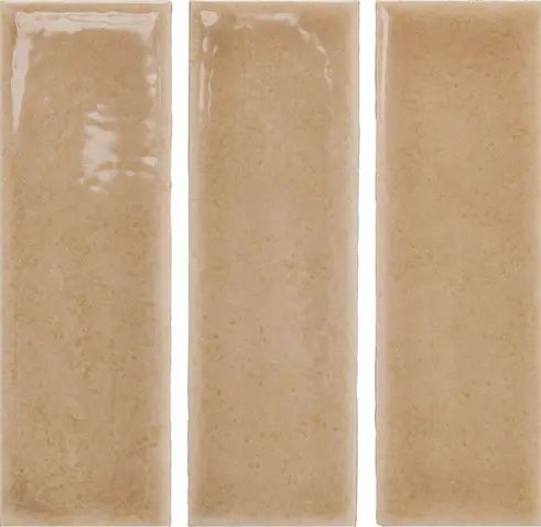 Skin Biscuit Gloss 4X12.5