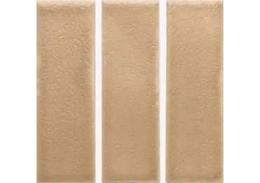 Skin Biscuit Matt 4X12.5