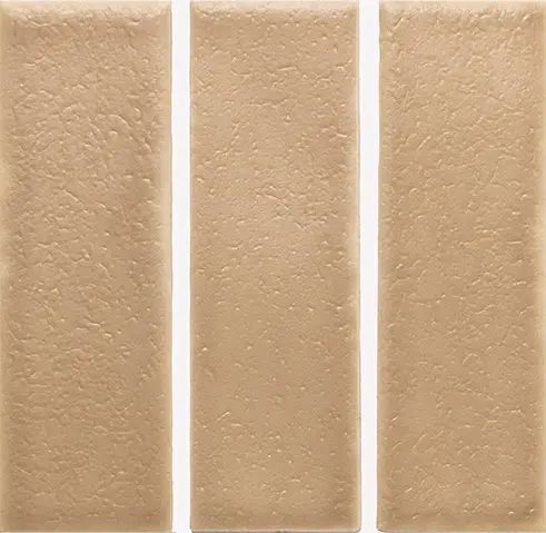 Skin Biscuit Matt 4X12.5