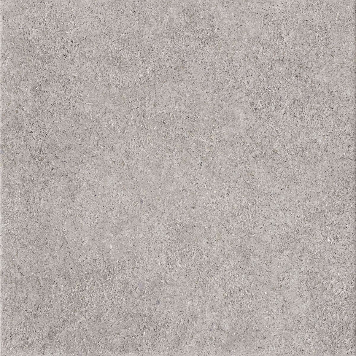 Soap Stone Grey Rc 60X60