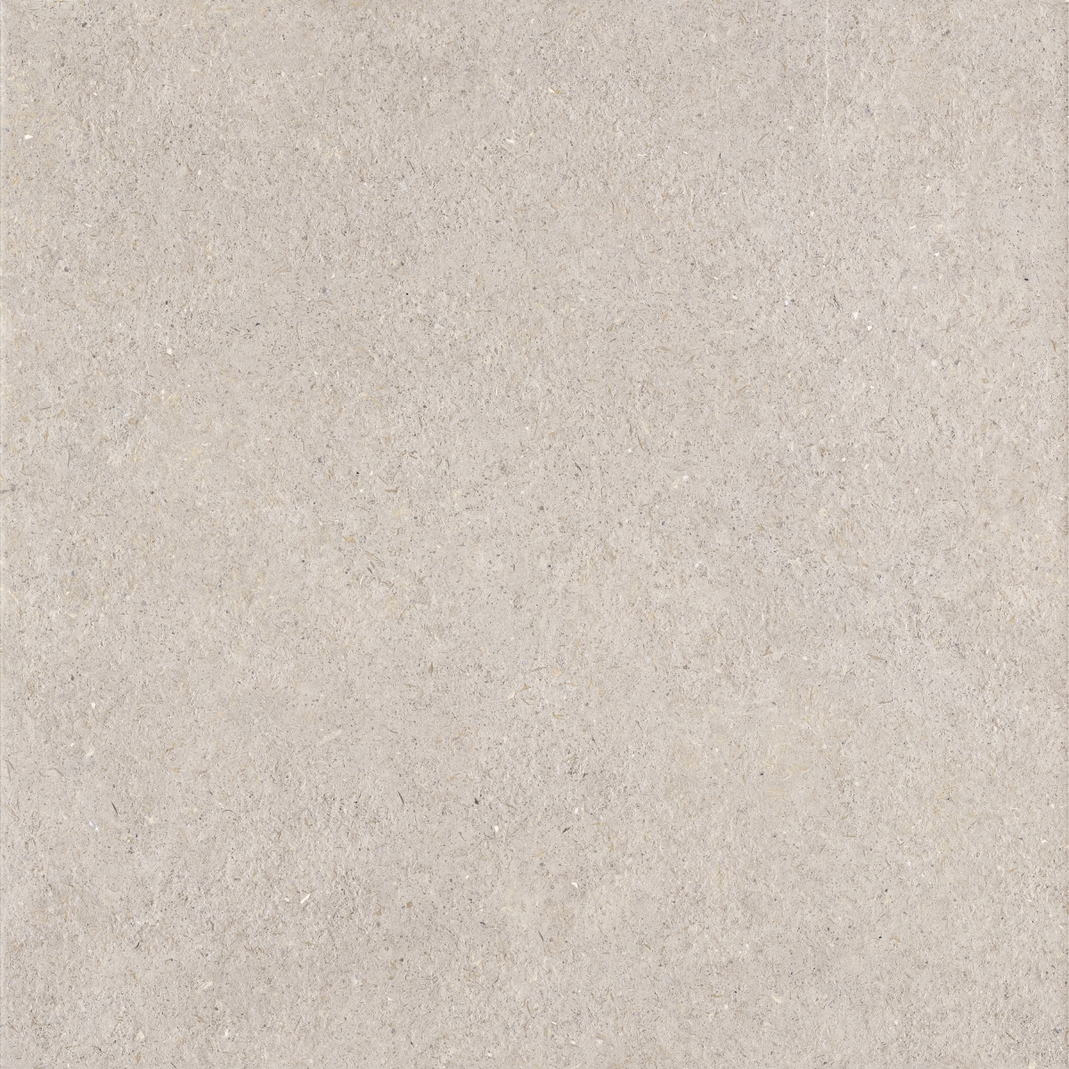 Soap Stone Tortora Rc 60X60