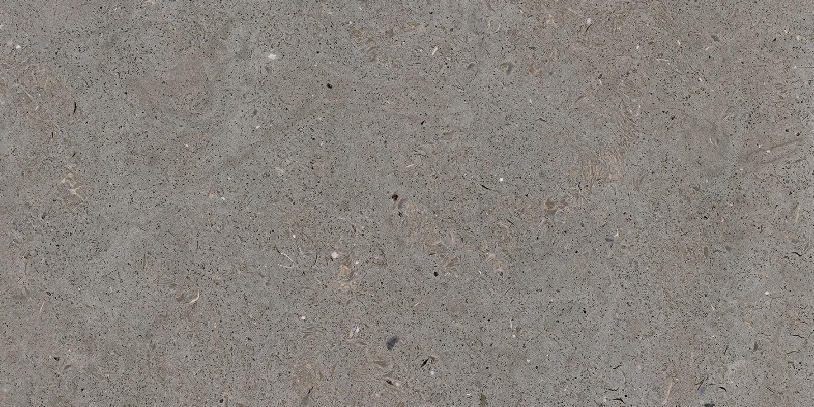 Somport Grey 30X60