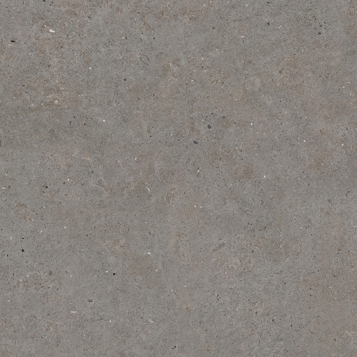 Somport Grey 90X90