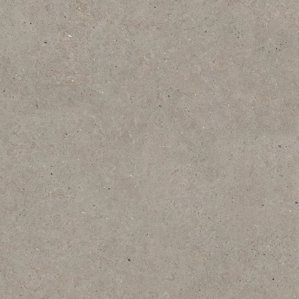 Somport Grey Antislip 120X120