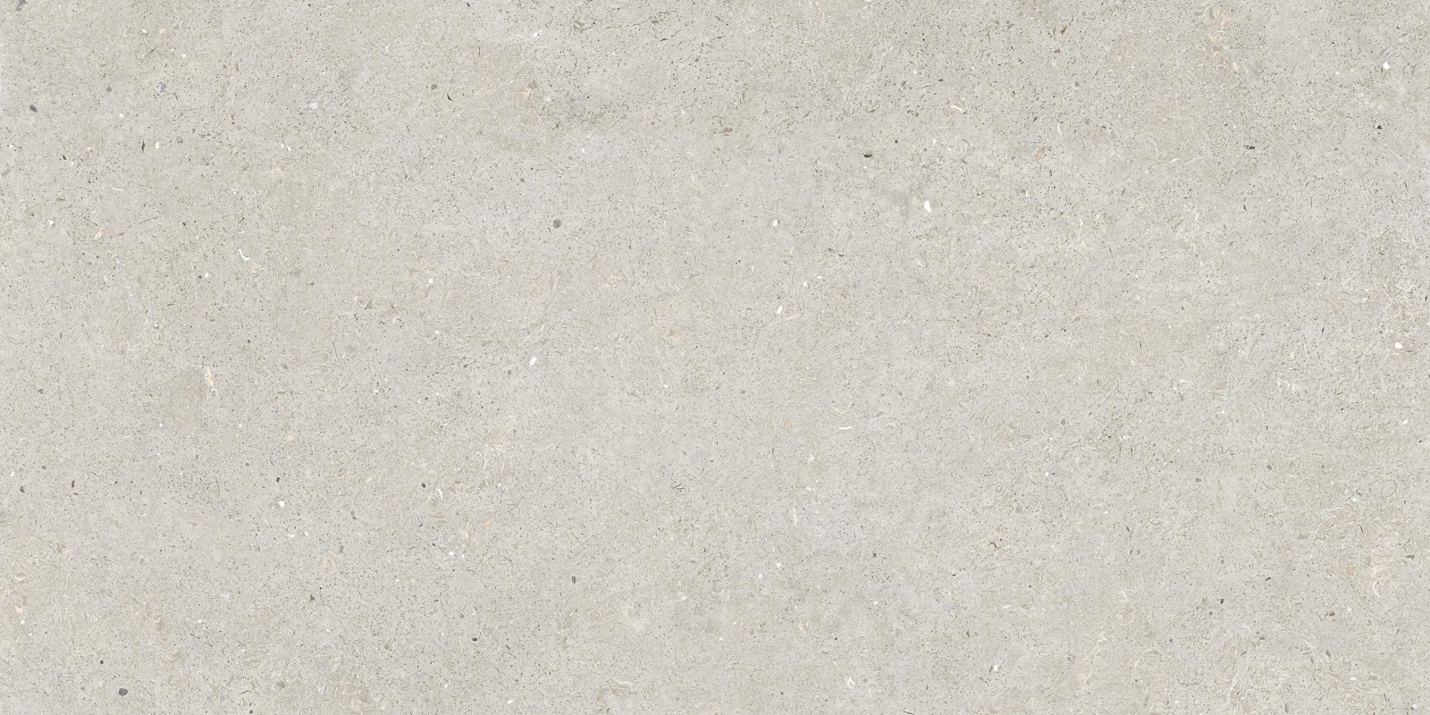 Somport Light 60X120
