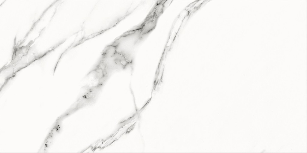 Special Marble White Lesk 30X60