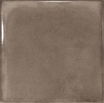 Splendours Brown 15X15