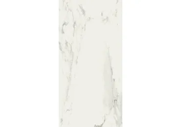 Stones Calacatta Smooth 60X120