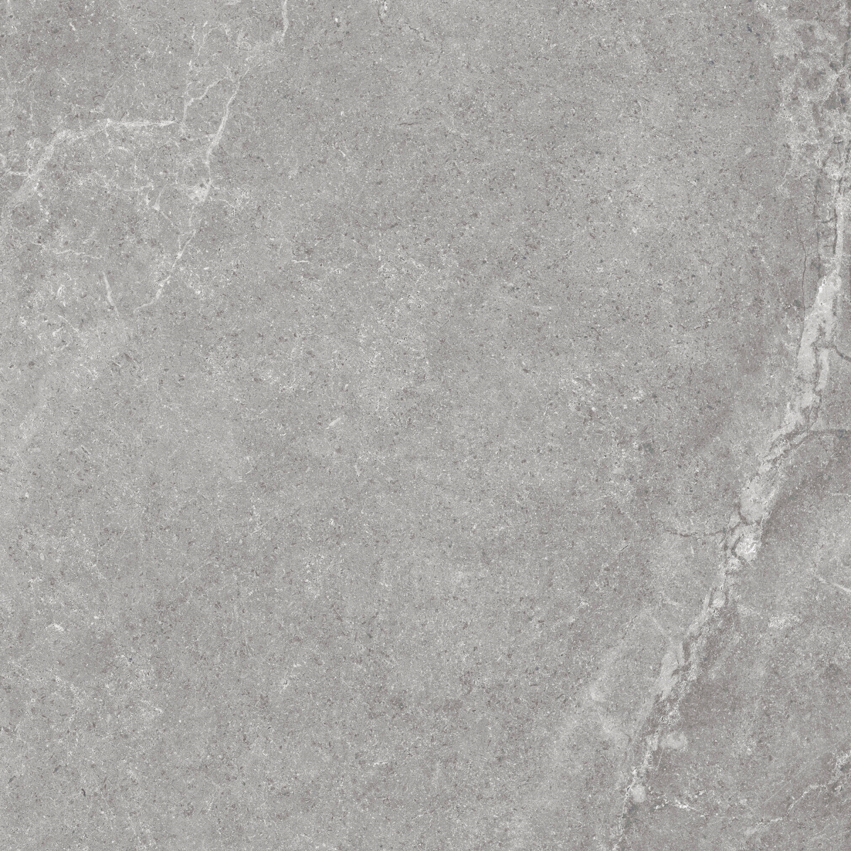 Storm Grey 60X60