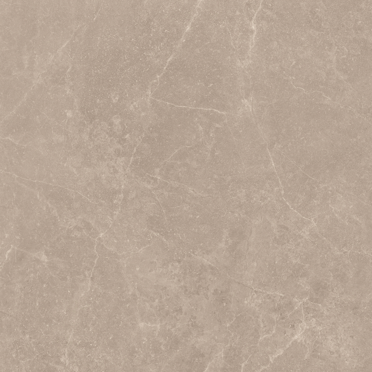 Storm Rock Earth Rc 60X60