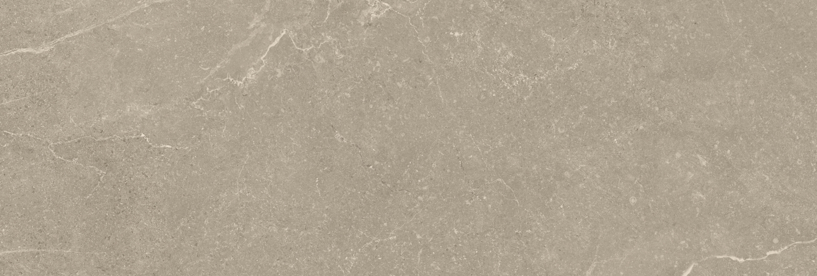 Storm Wall Earth 40X120